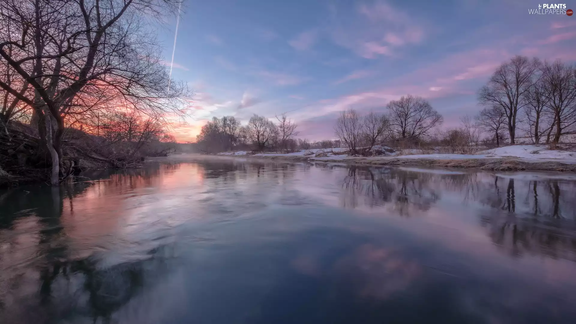 trees, viewes, Sunrise, leafless, River