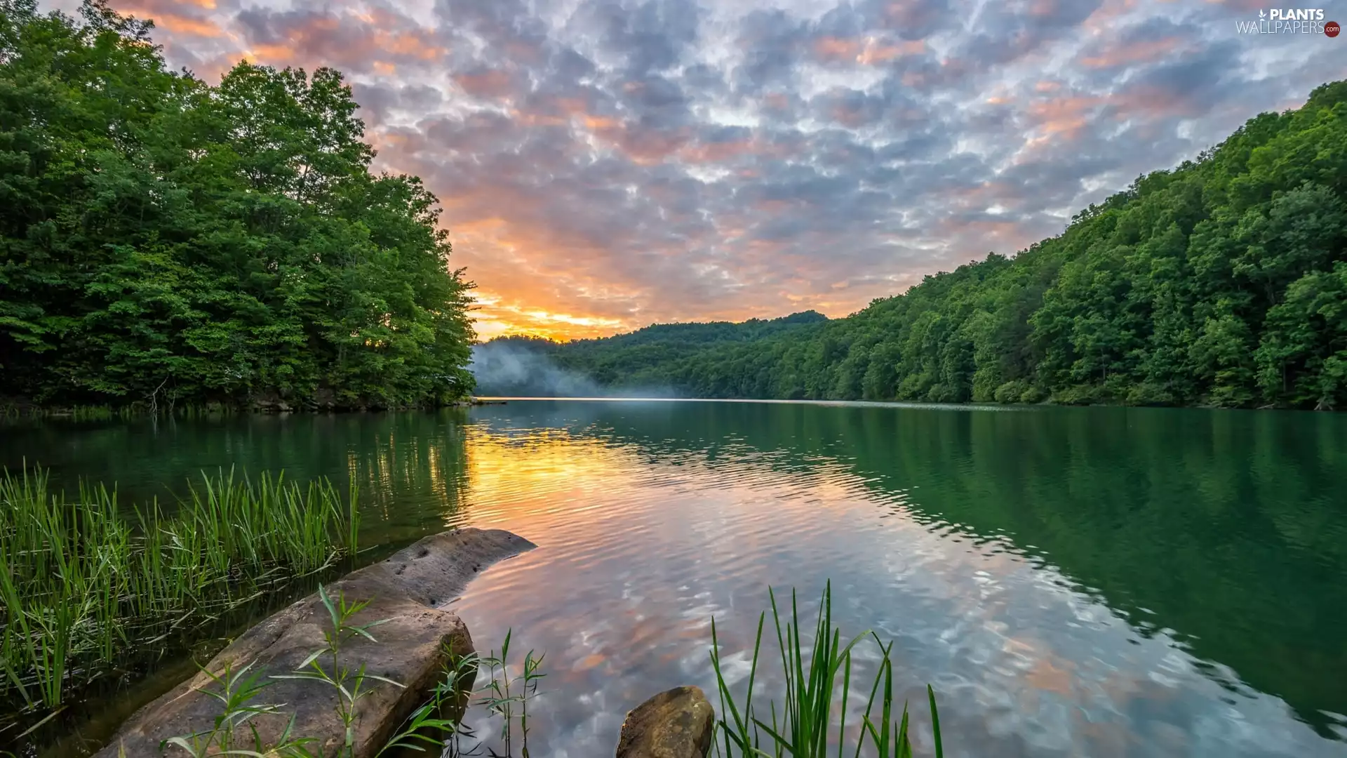 Green, trees, Sunrise, viewes, lake, forest, clouds