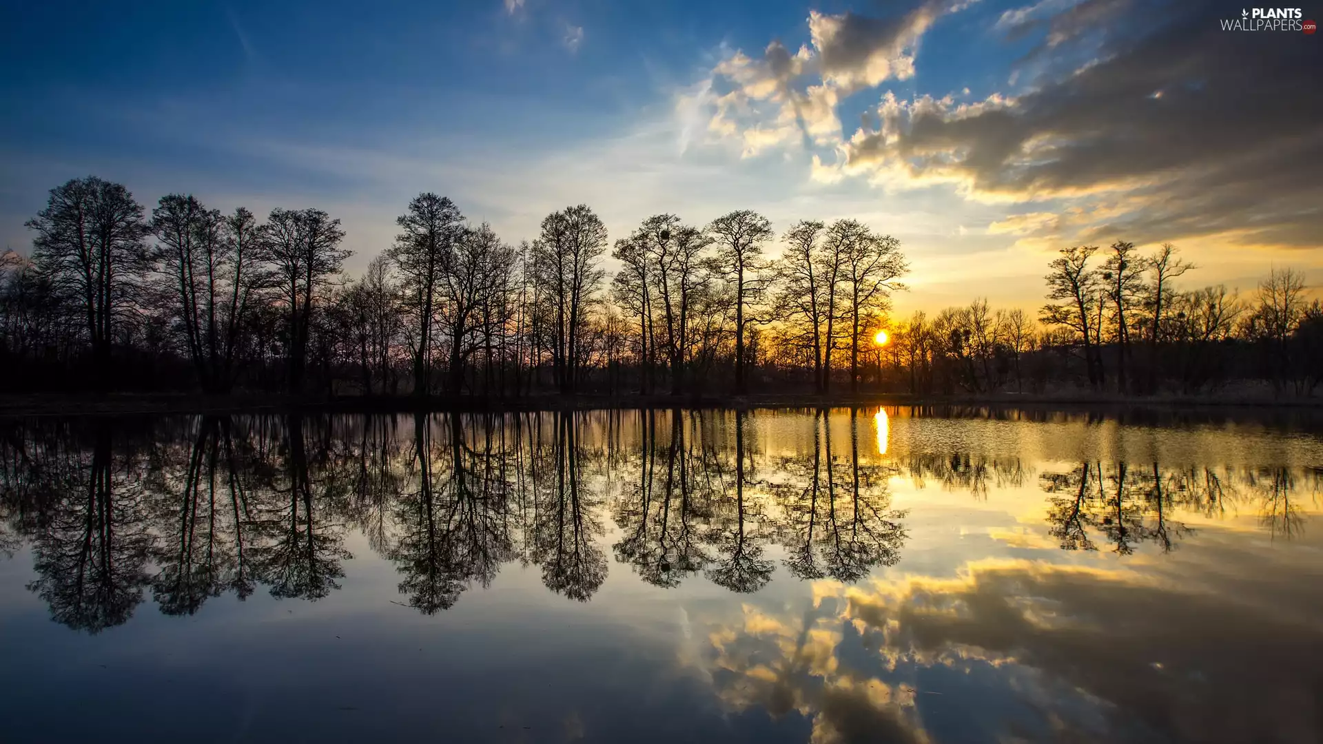 lake, Great Sunsets, viewes, reflection, trees, clouds