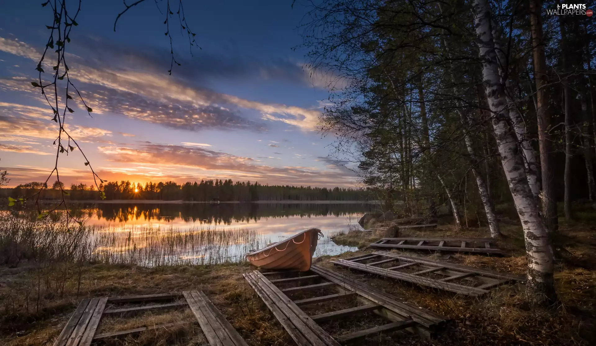 Boat, Great Sunsets, viewes, birch, trees, lake