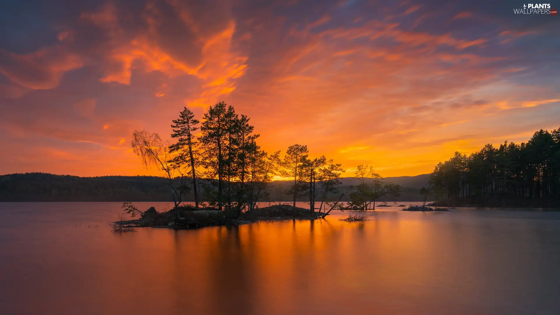Islet, Great Sunsets, viewes, reflection, trees, lake