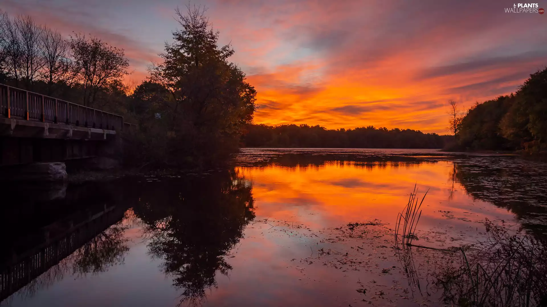bridge, Great Sunsets, viewes, reflection, trees, River