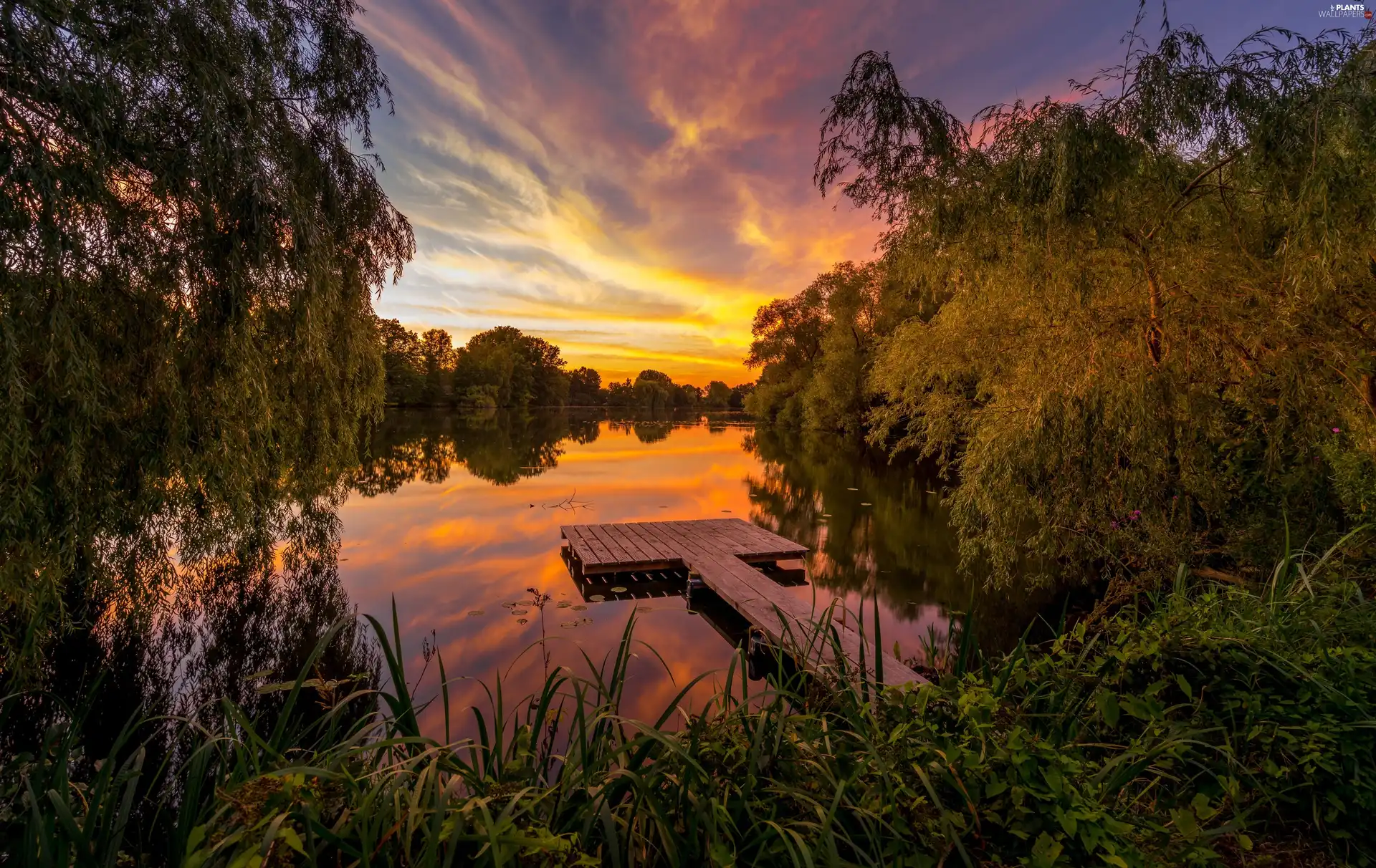 viewes, Great Sunsets, Platform, trees, lake