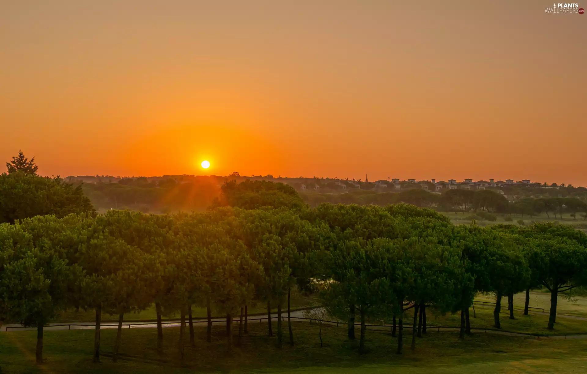 Houses, Hill, trees, viewes, Great Sunsets