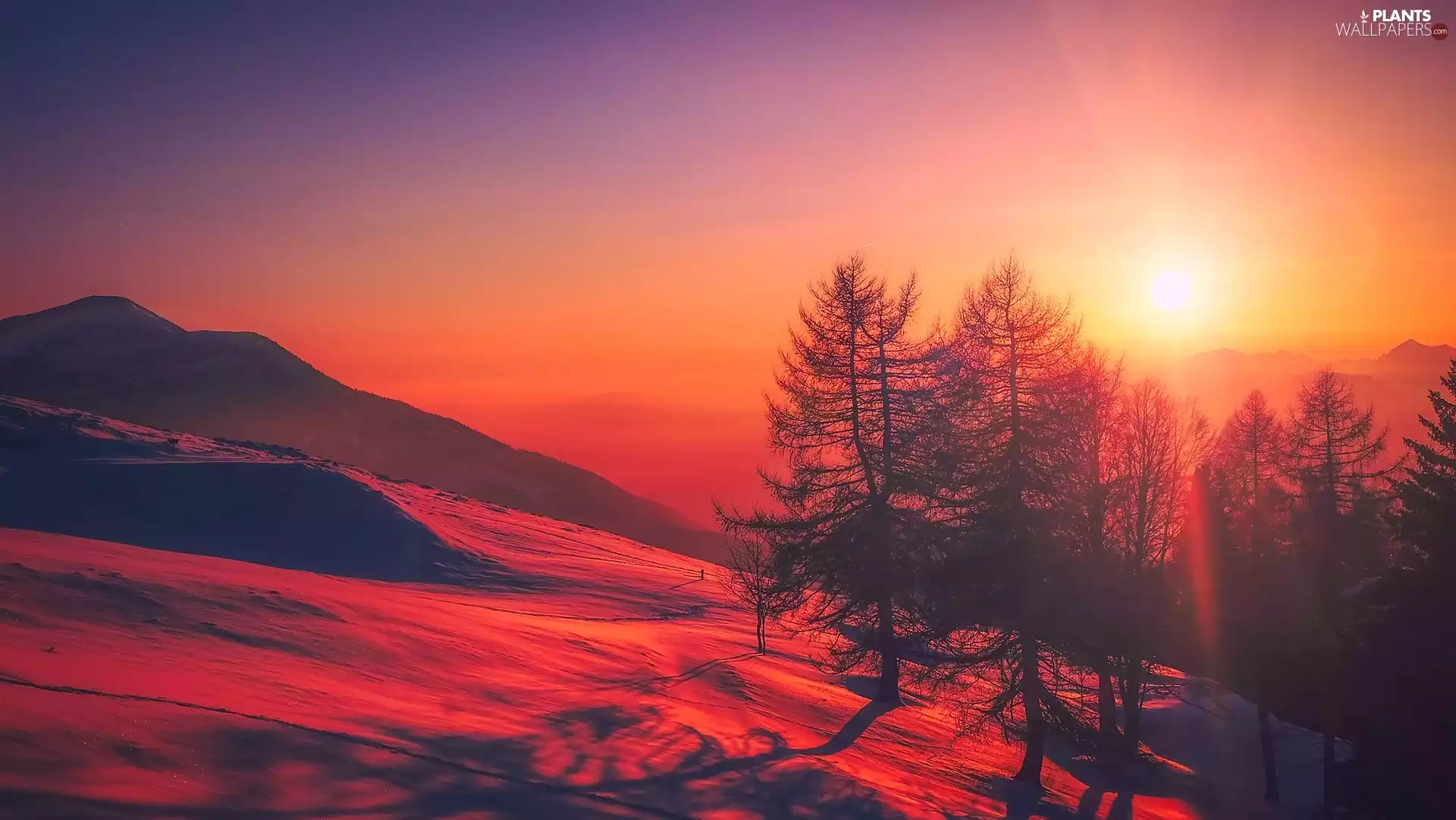 The Hills, trees, viewes, Great Sunsets