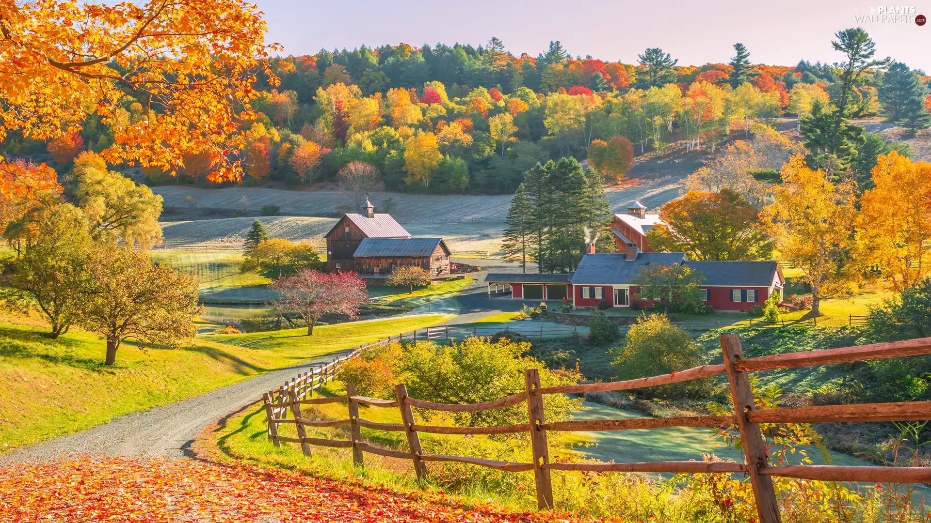 New England, autumn, viewes, house, trees, State of Vermont, The United States, Way