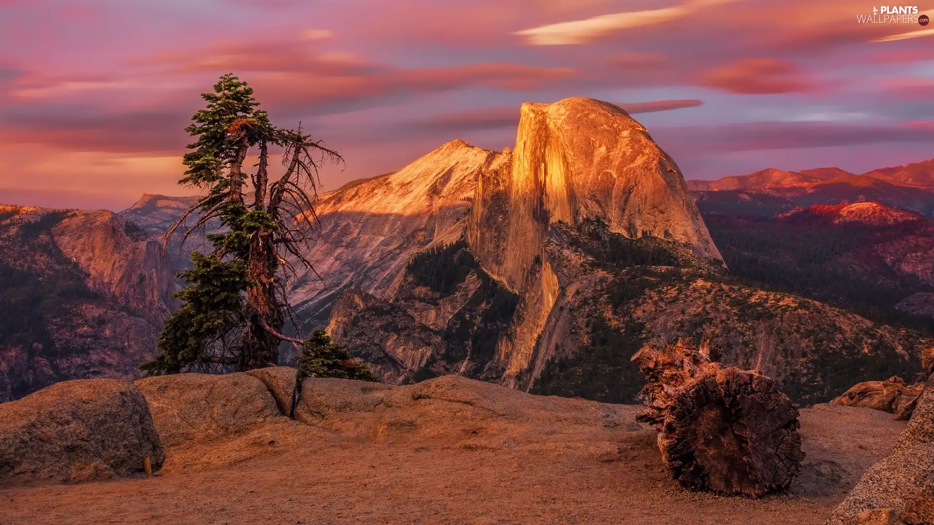 Half Dome, Mountains, trees, rocks, Great Sunsets, The United States, California, mountains, illuminated, Yosemite National Park, viewes