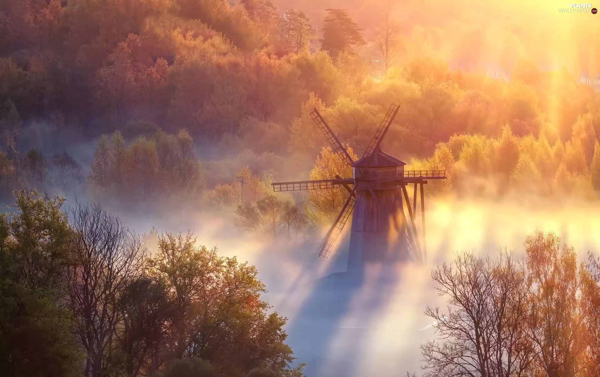 viewes, autumn, Windmill, Fog, rays of the Sun, trees
