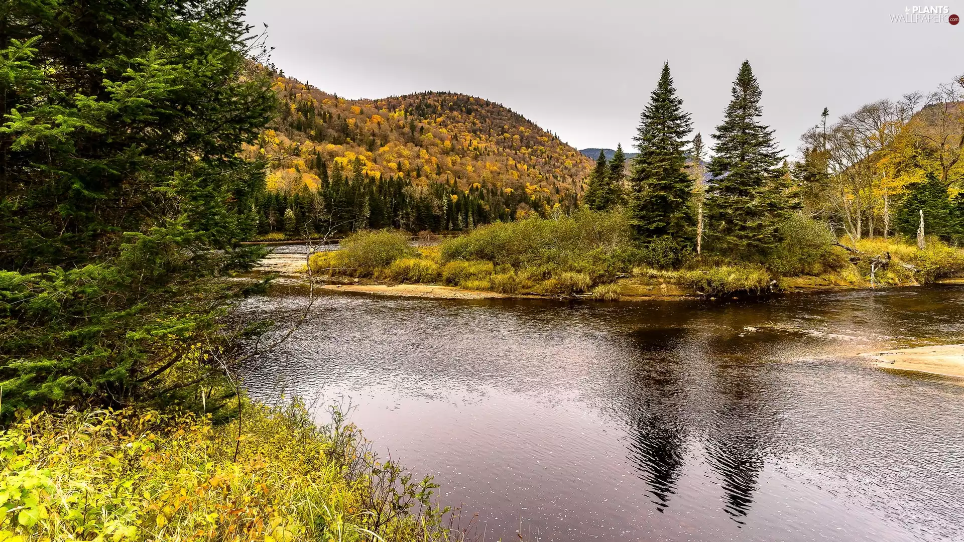 River, viewes, The Hills, trees