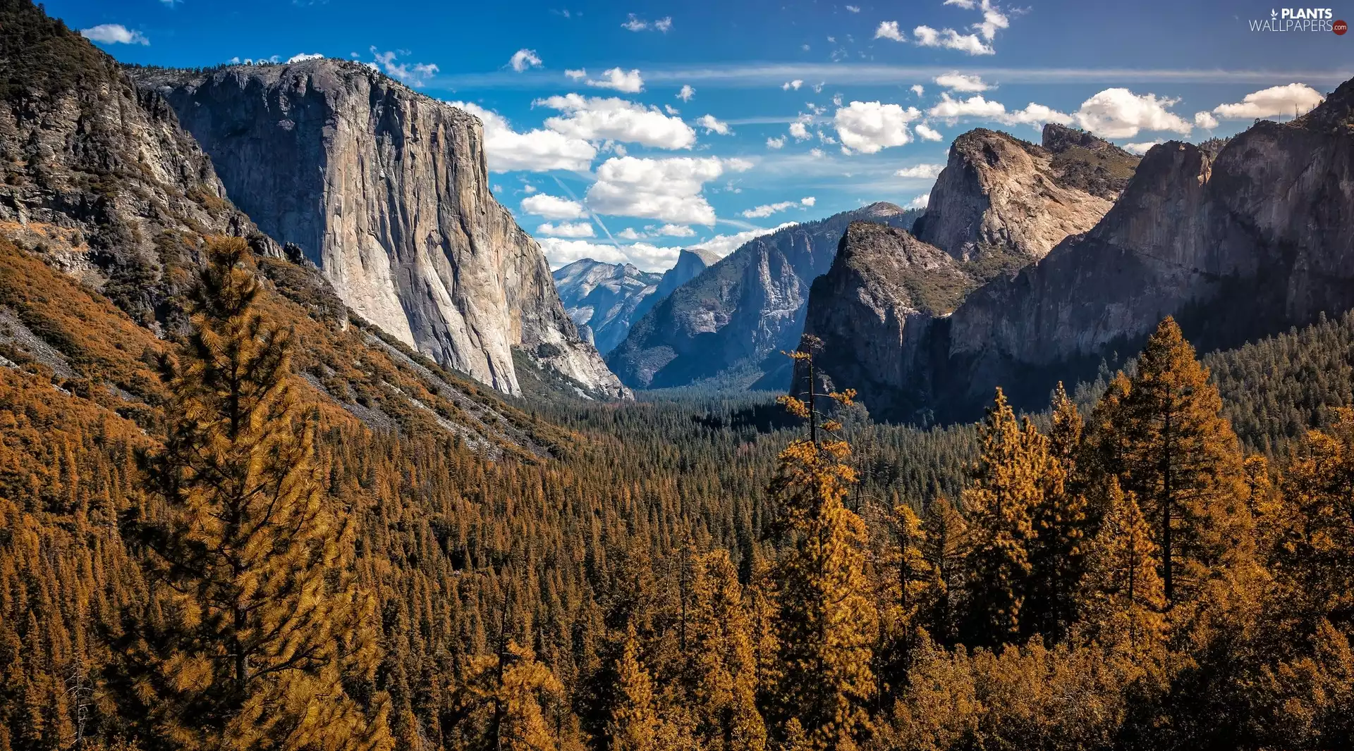 Yosemite National Park, Yosemite Valley, clouds, Mountains, viewes, State of California, The United States, trees