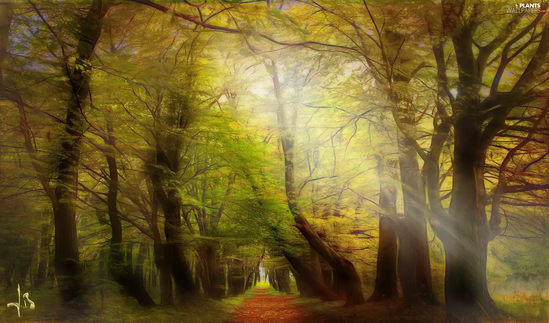 viewes, Way, Poland, Msciwojow, light breaking through sky, trees