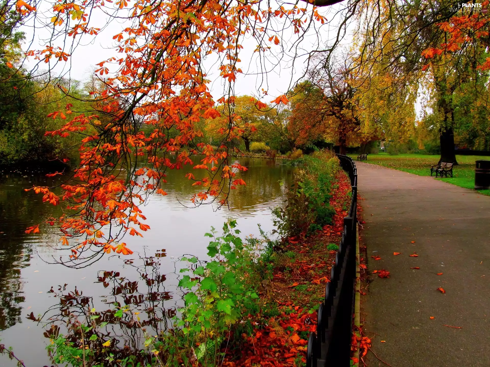 bench, alley, trees, Pond - car, Park, autumn, viewes