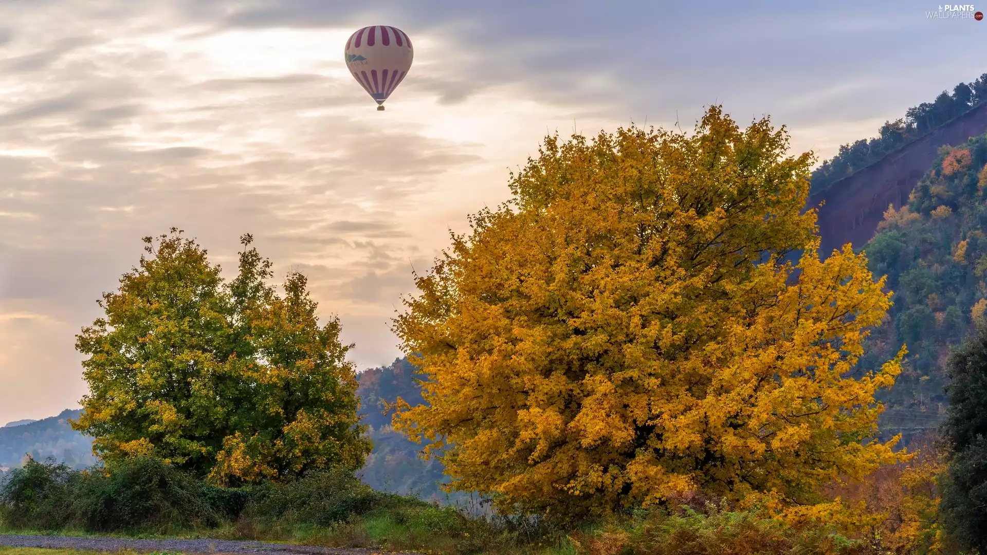 trees, autumn, Balloon, viewes