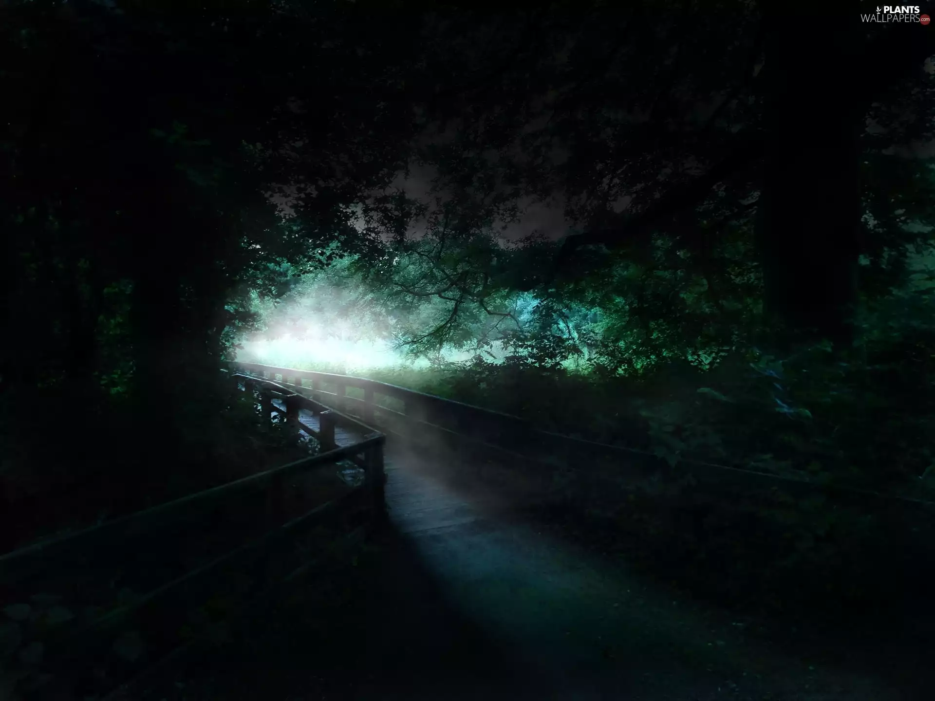 viewes, bridge, trees