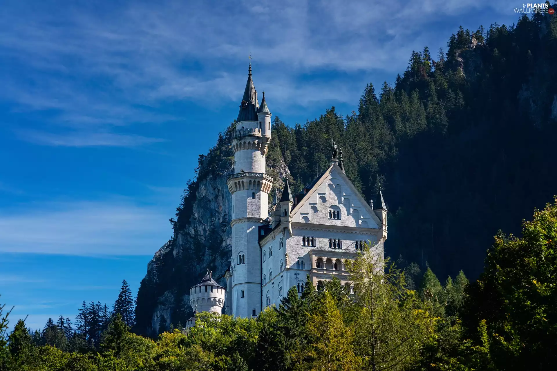 Neuschwanstein Castle, trees, Bavaria, Germany, Schwangau Commune, viewes