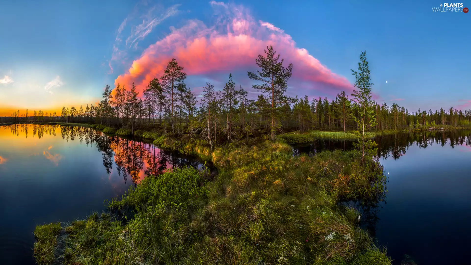 lakes, clouds, trees, Two cars, Pink, forest, viewes