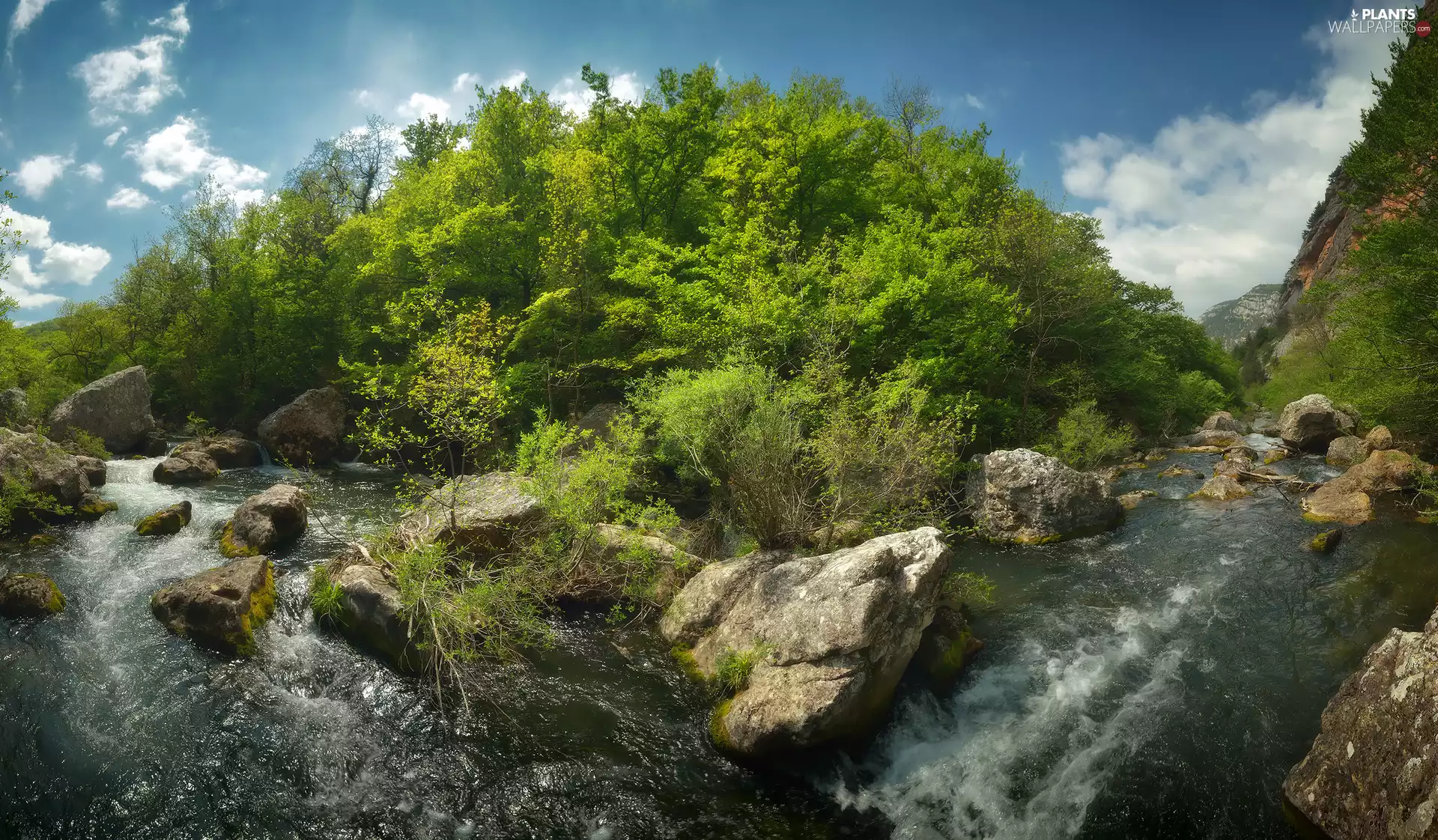 Stones, fork, trees, viewes, The Hills, River