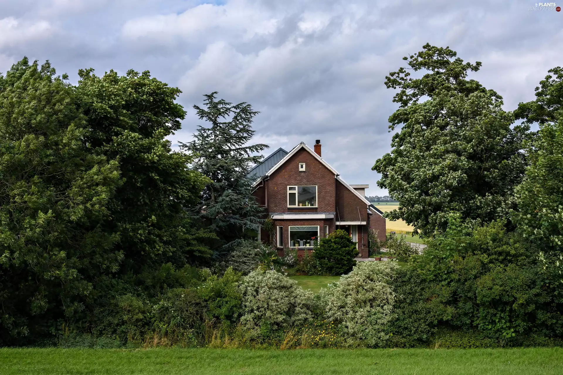 viewes, house, trees