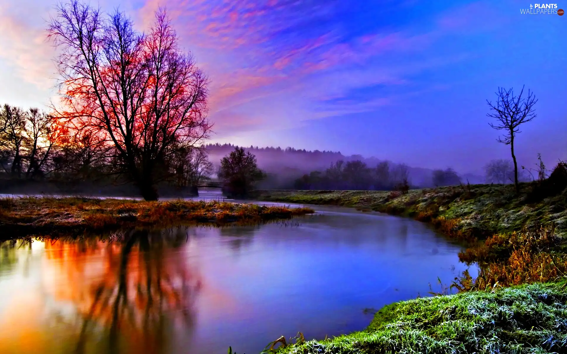 viewes, lake, trees