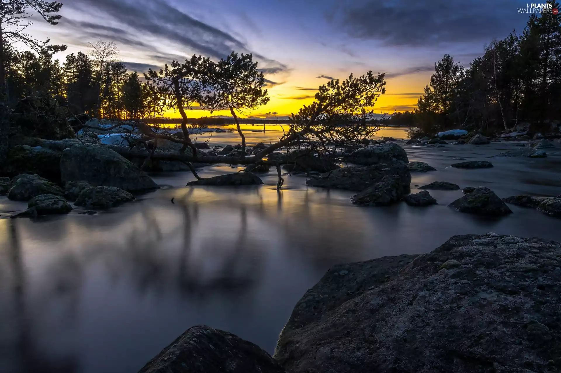 Stones, Lapland, trees, River, Sweden, Great Sunsets, viewes