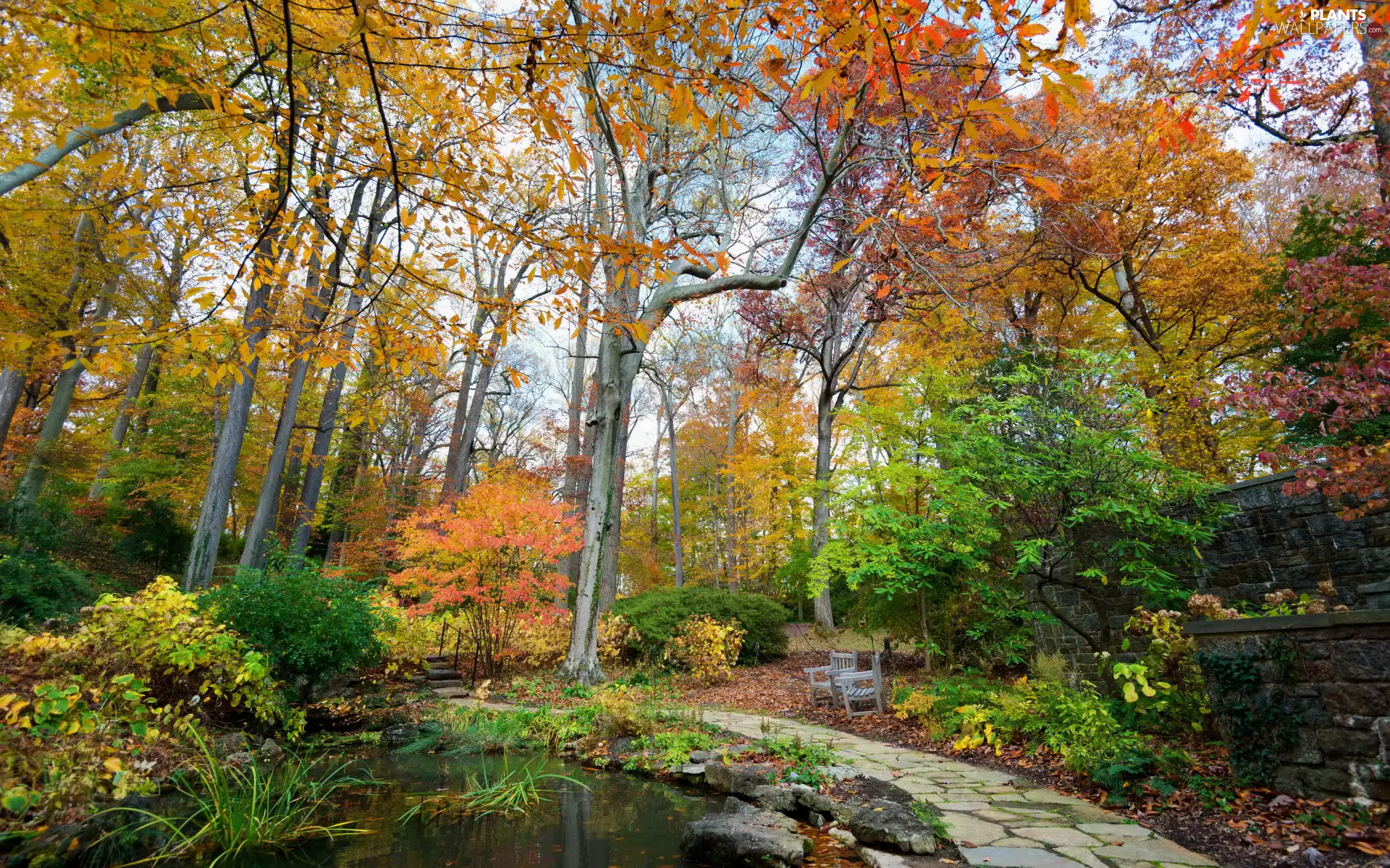 viewes, Stool, autumn, Pond - car, Leaf, trees, Park, wall