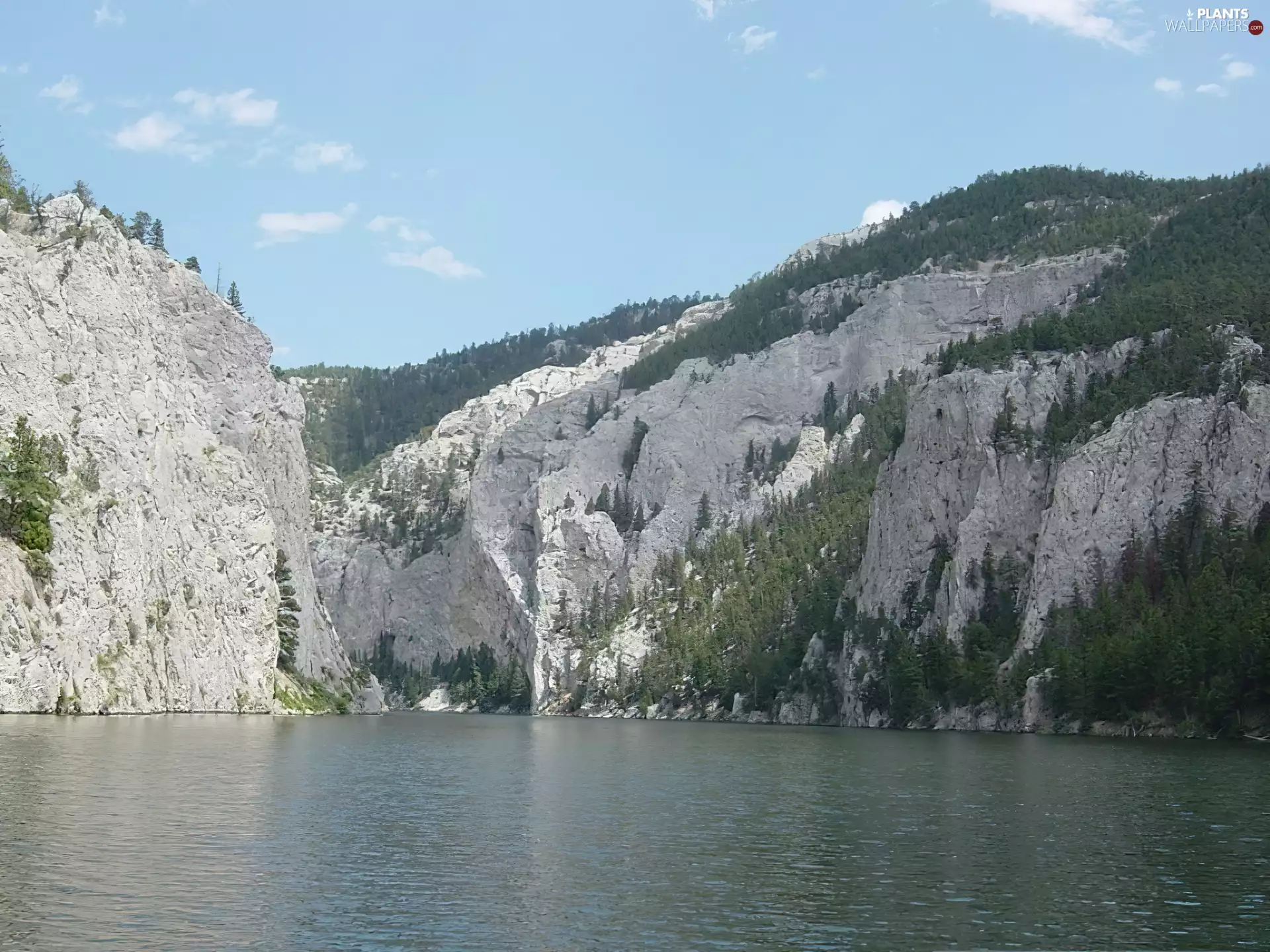 viewes, Mountains, trees