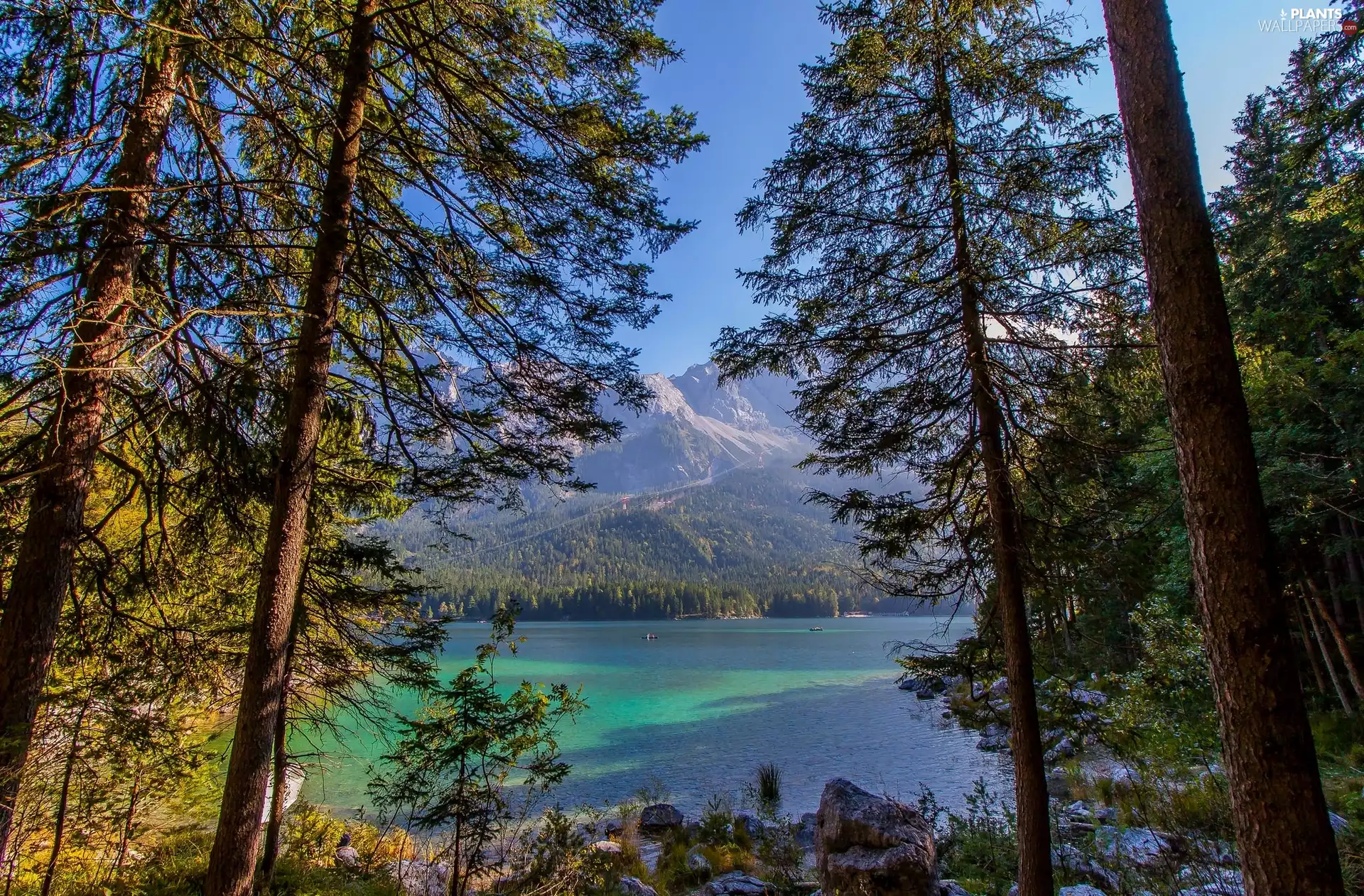 trees, lake, Mountains, viewes