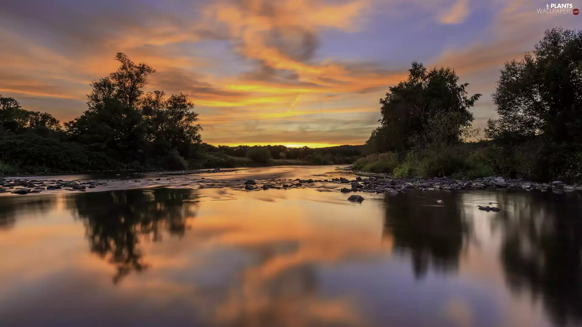 clouds, Orange, trees, Sky, Great Sunsets, River, viewes
