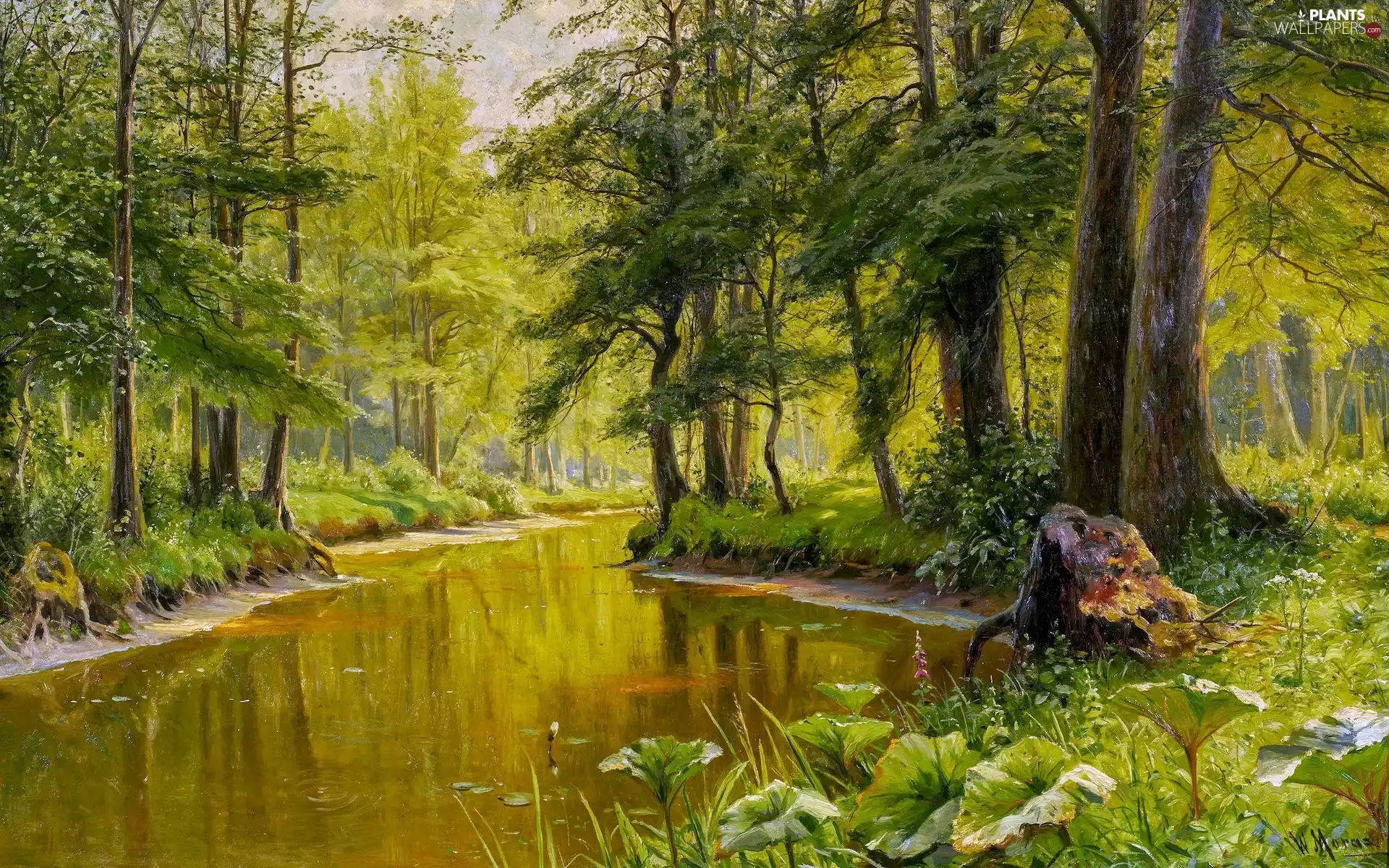 forest, picture, trees, Walter Moras, painting, River, viewes
