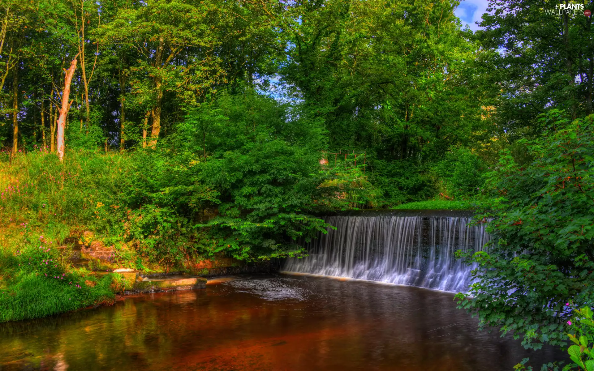 viewes, River, trees