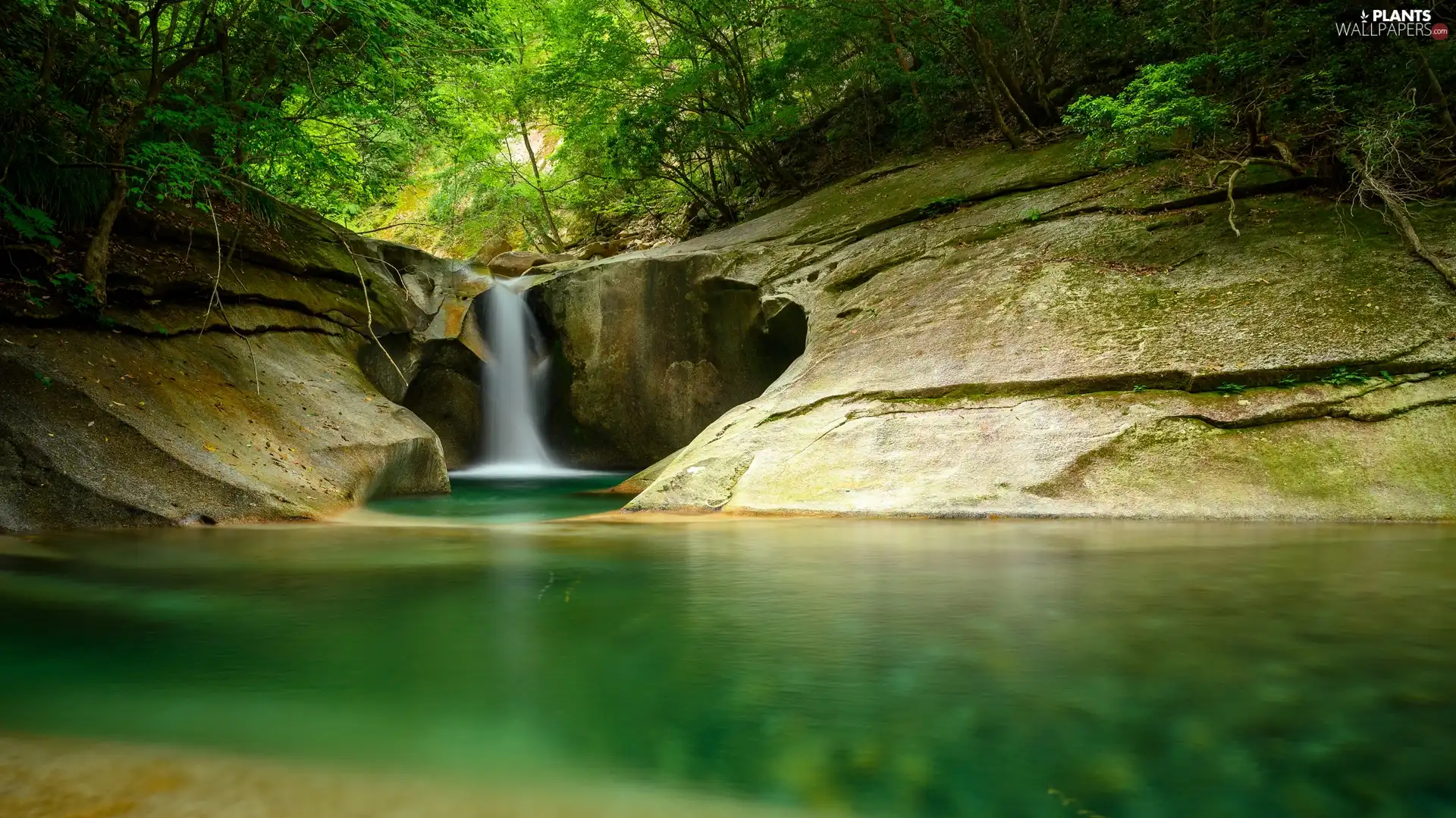 waterfall, River, trees, viewes, green ones, rocks