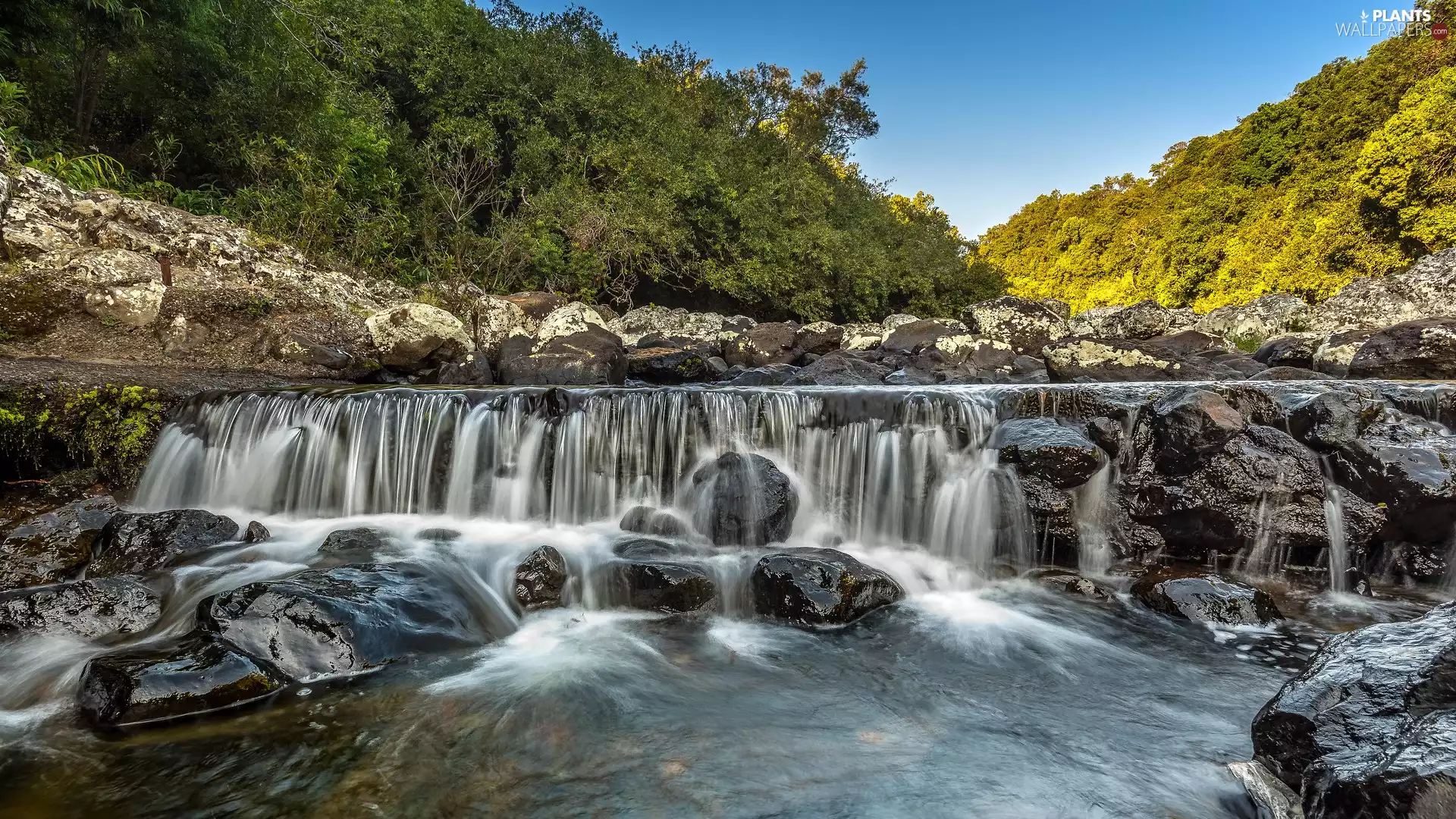 rocks, River, trees, viewes, Stones, River Threshold