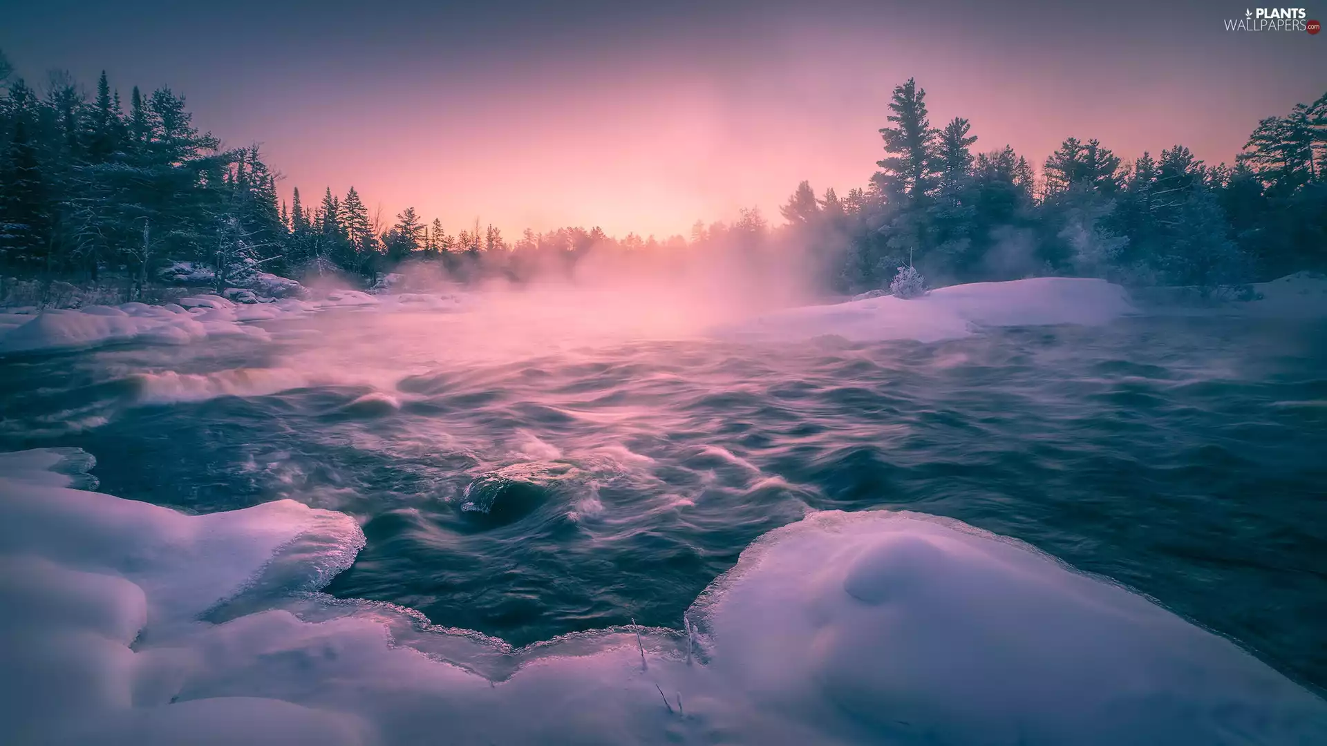 Fog, River, trees, snow, winter, Great Sunsets, viewes