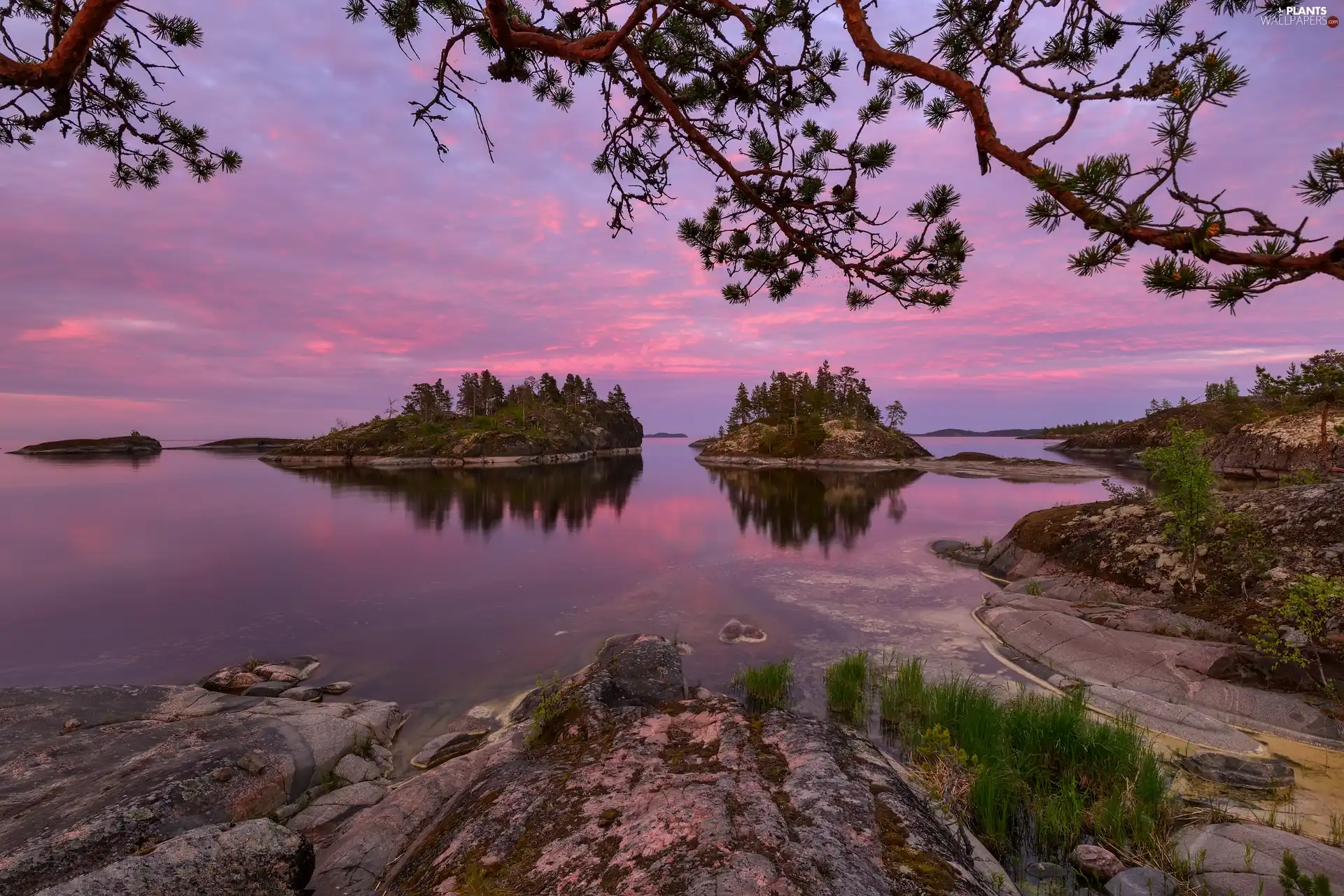 Islets, Russia, trees, viewes, rocks, Lake Ladoga