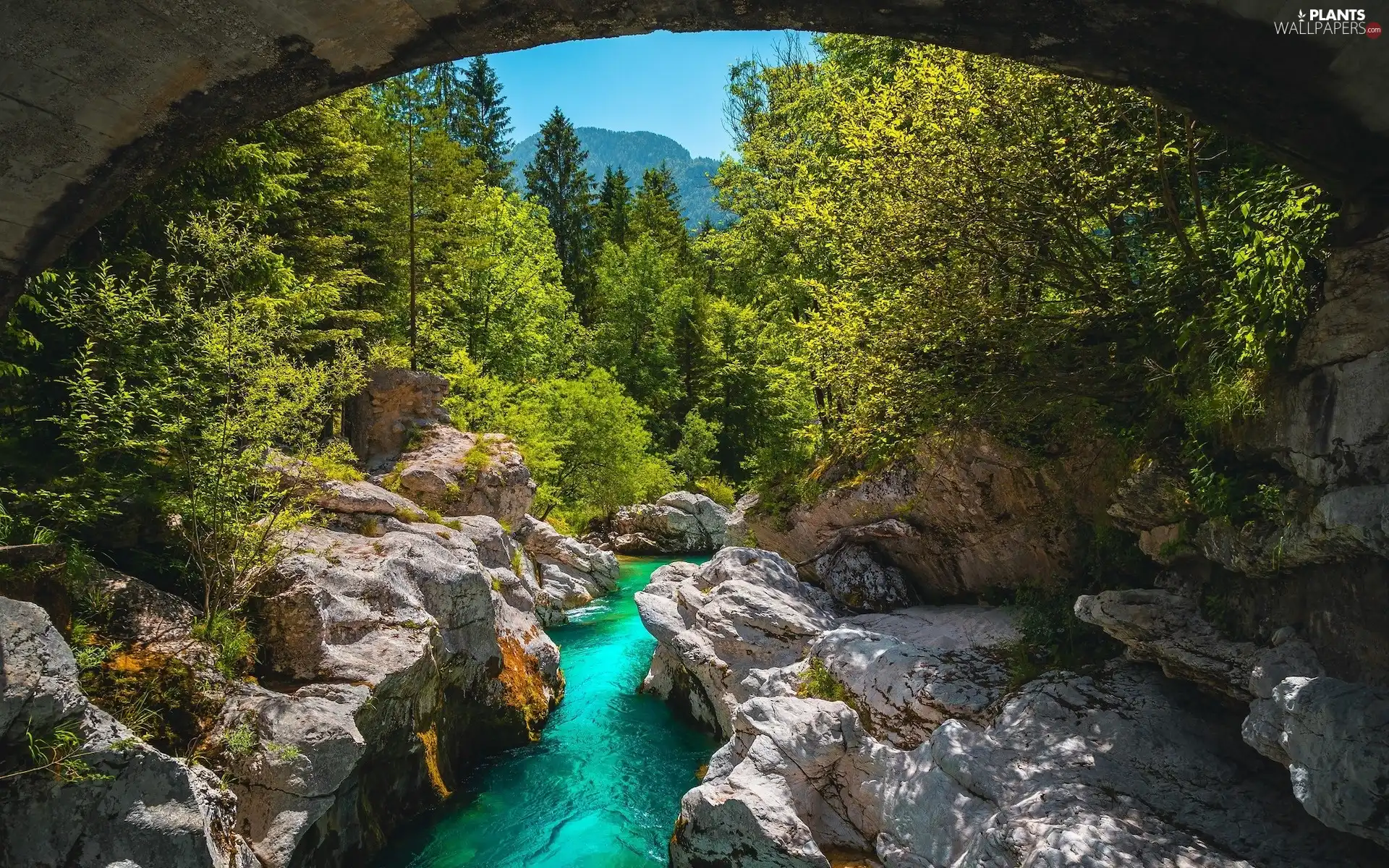 rocks, Slovenia, trees, viewes, River Sochi, Bovec