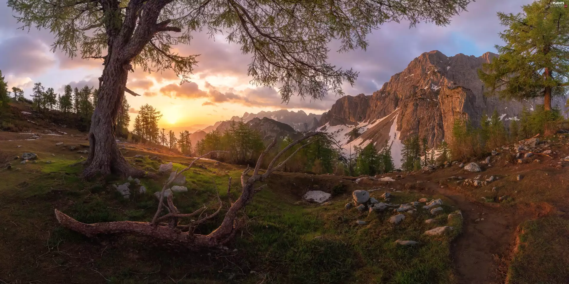 Julian Alps, Slovenia, viewes, Mountains, trees