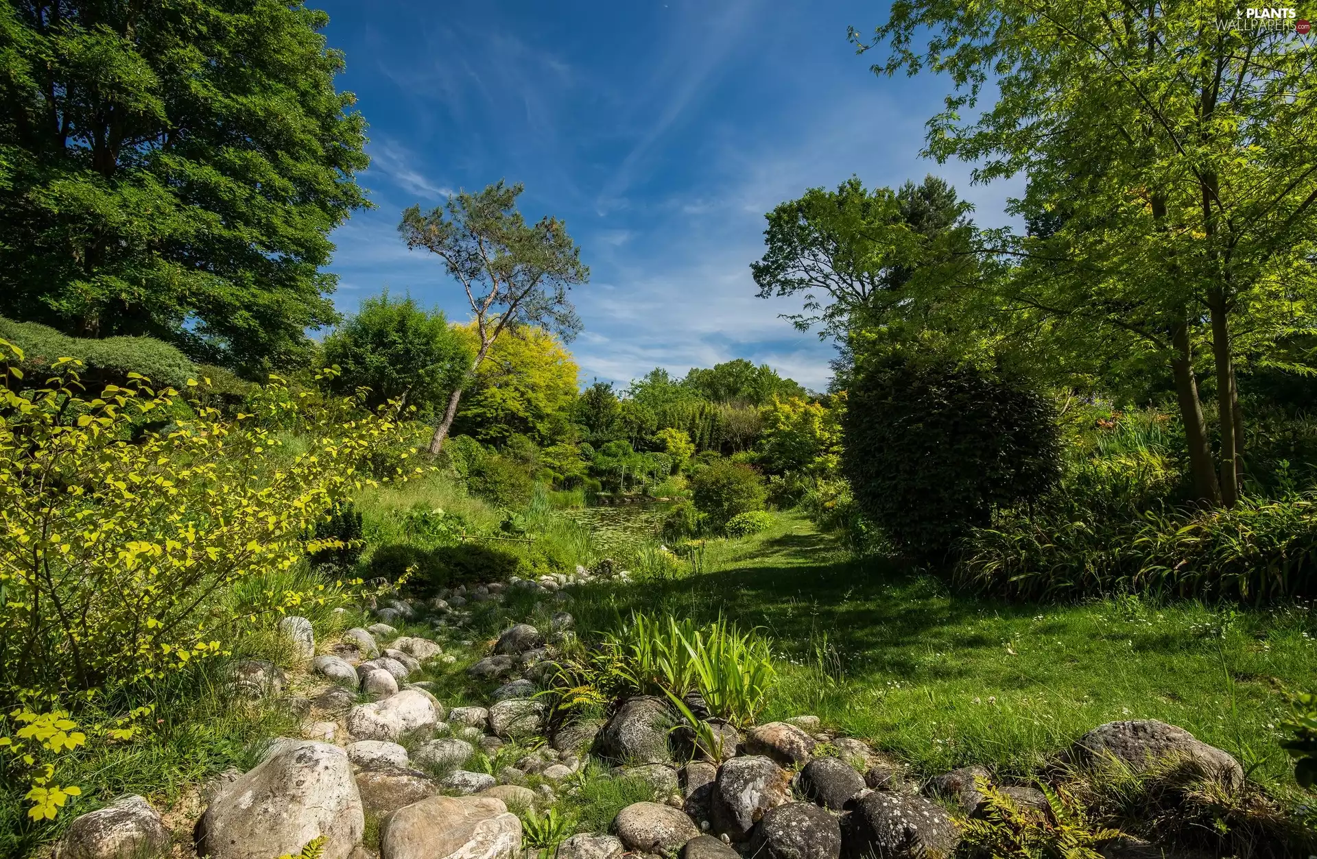 trees, brook, Stones, viewes
