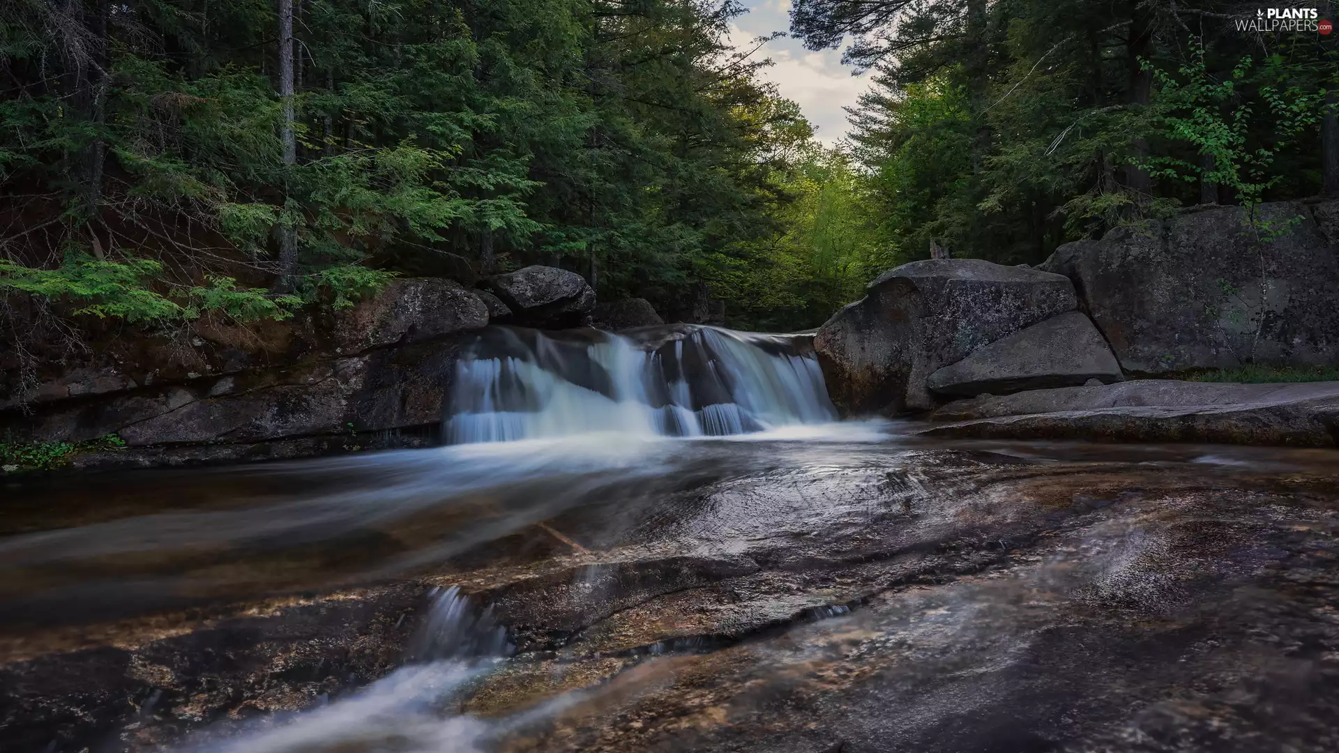 River, River Threshold, viewes, rocks, trees