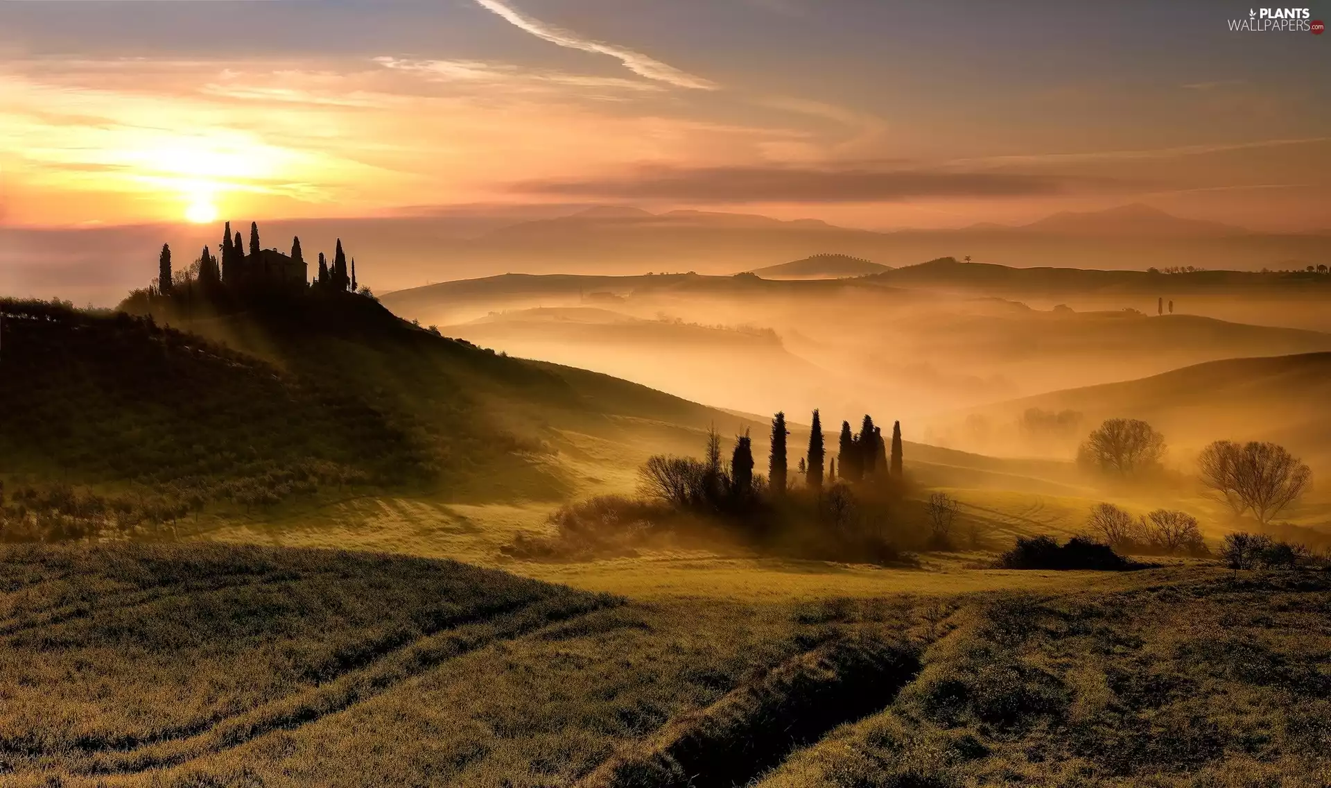 Fog, Tuscany, trees, The Hills, Italy, Sunrise, viewes