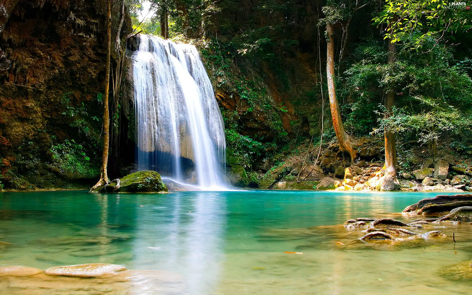 viewes, waterfall, trees