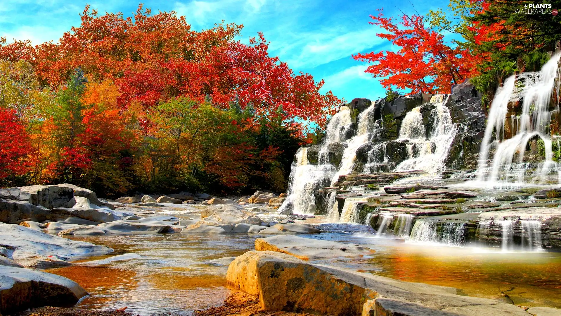 viewes, waterfall, trees