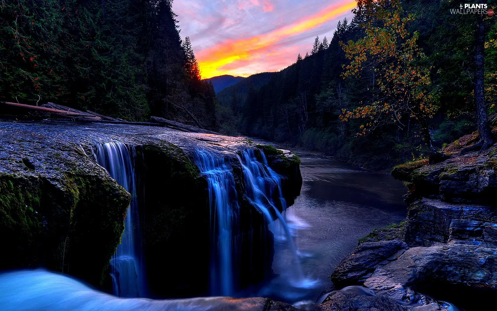 viewes, waterfall, trees