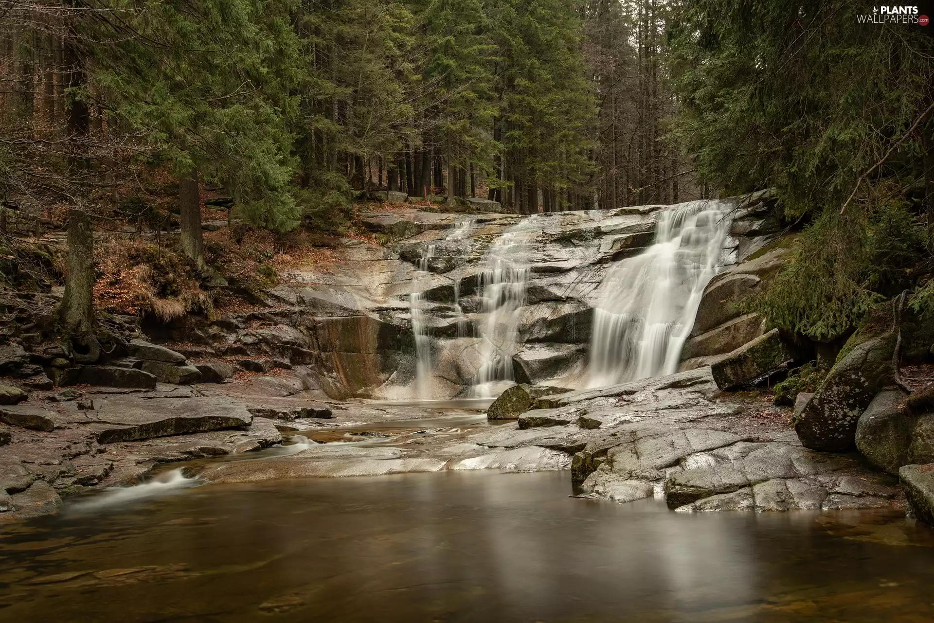 forest, waterfall, trees, viewes, green ones, rocks