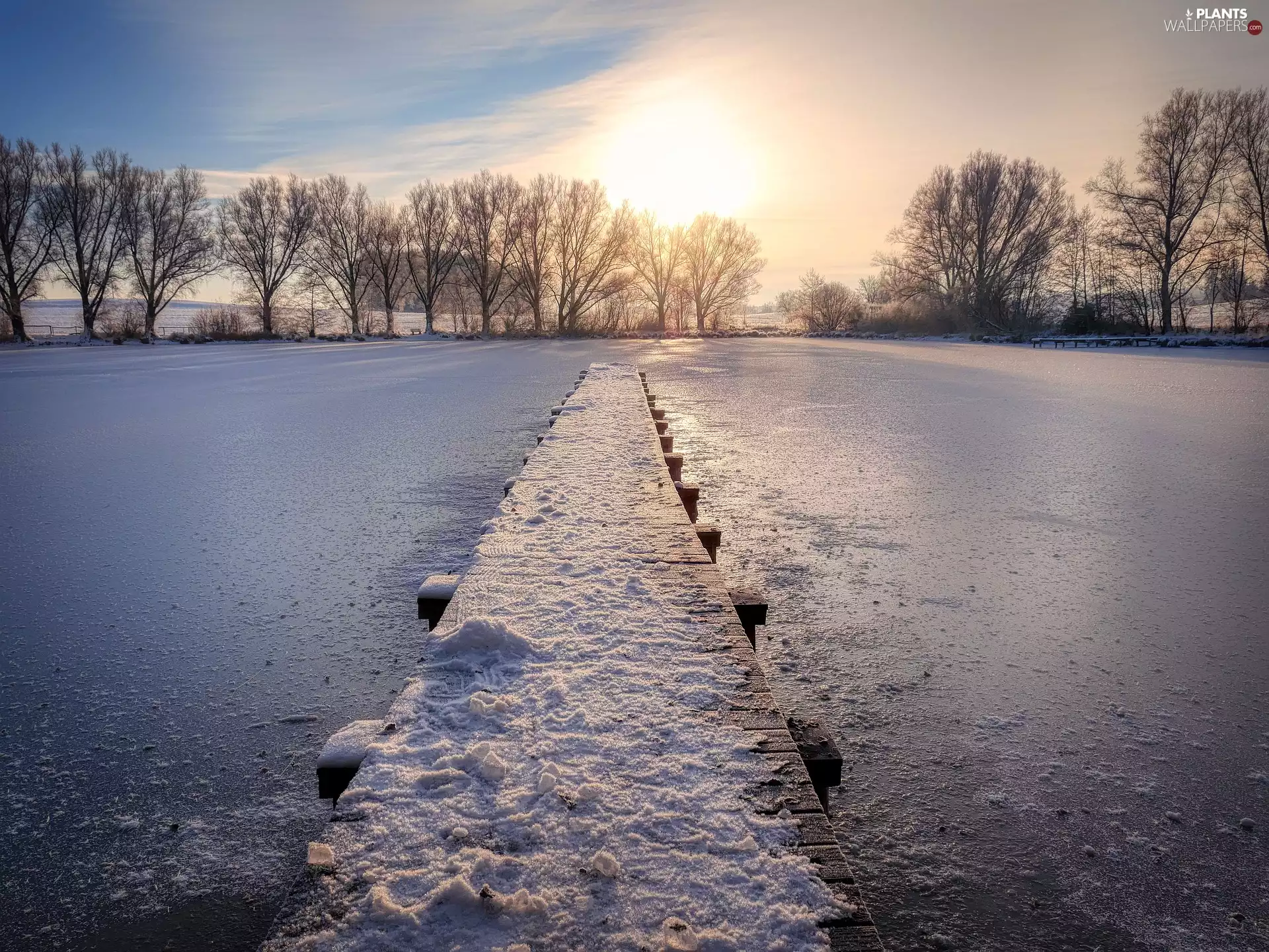 Platform, winter, trees, viewes, snow, Pond - car