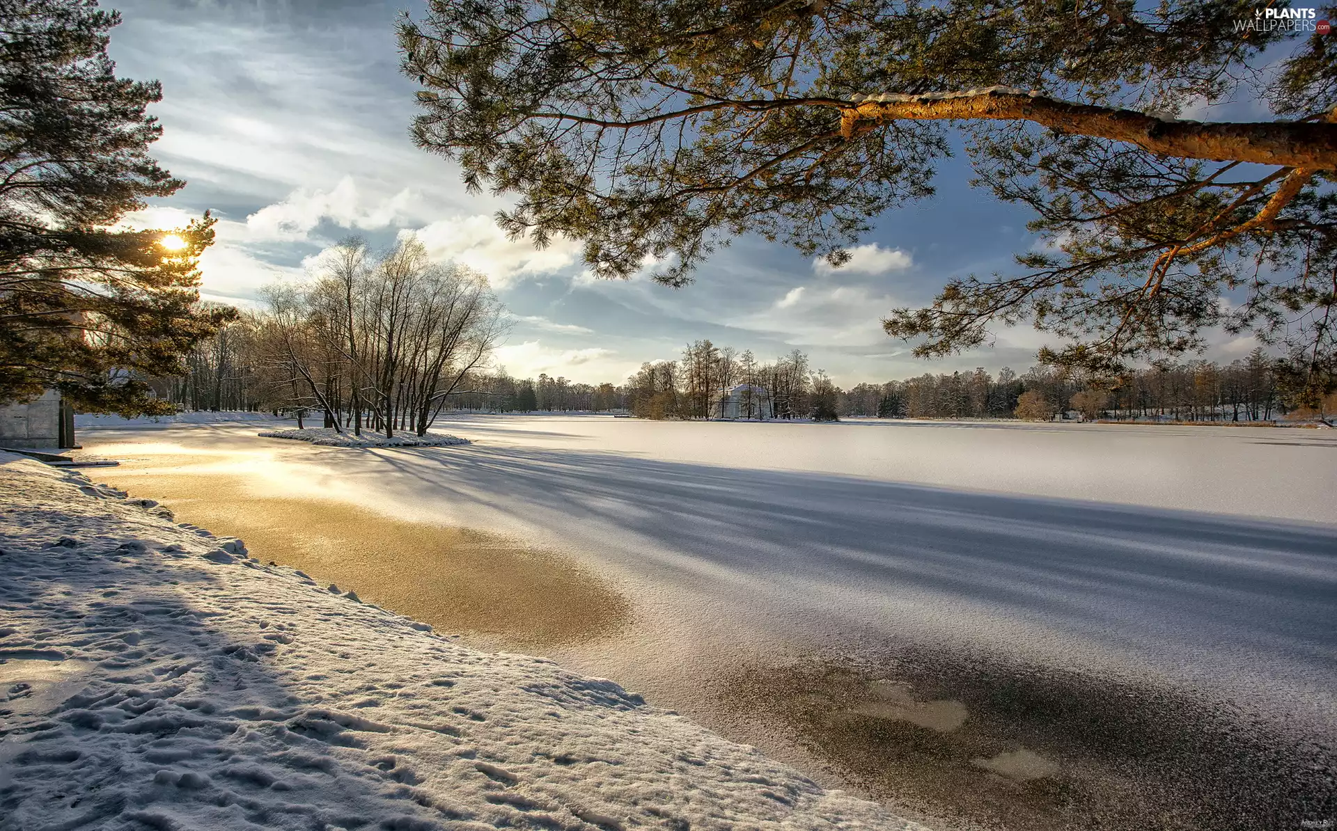 snowy, winter, trees, viewes, Pond - car, Park