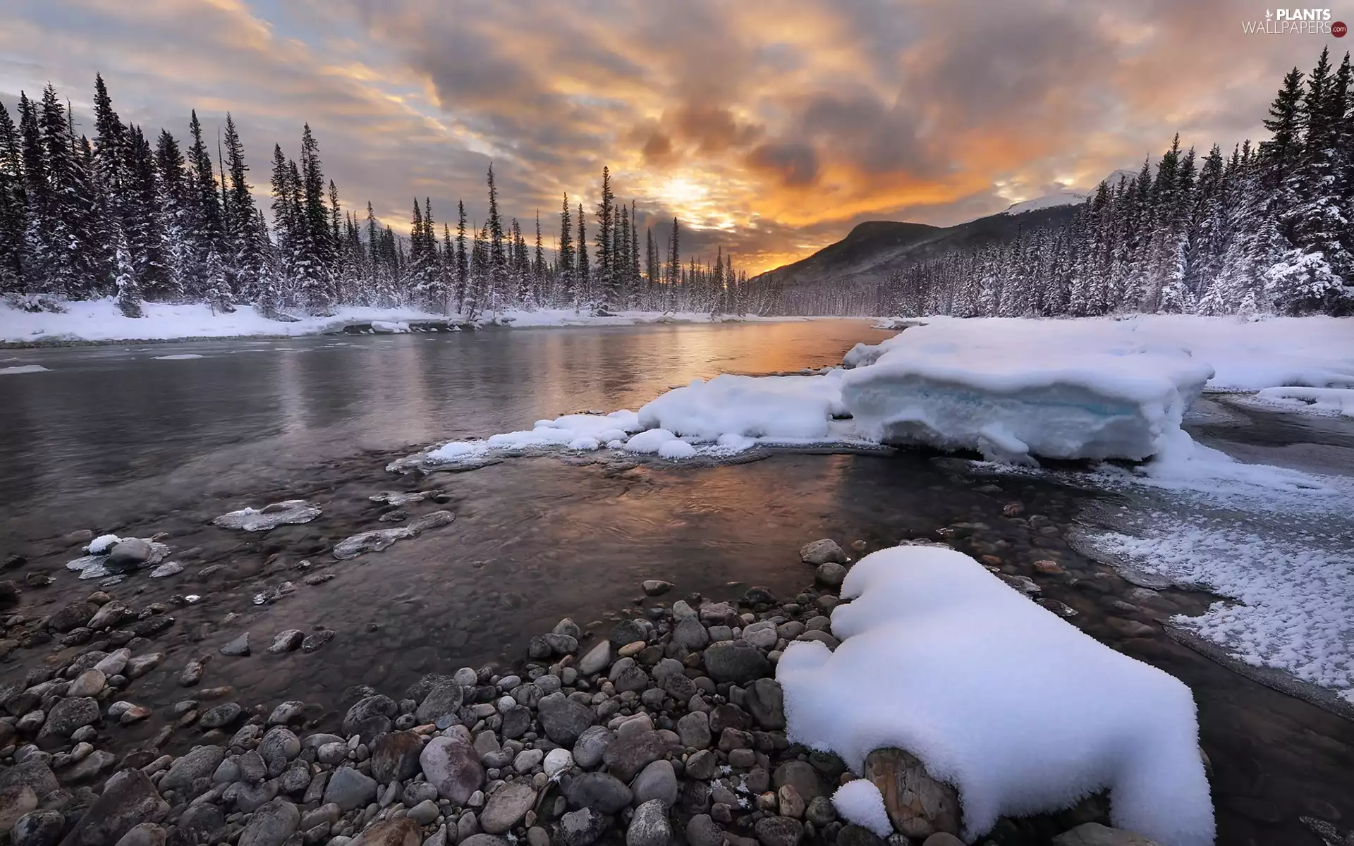 Stones, winter, trees, viewes, Great Sunsets, River