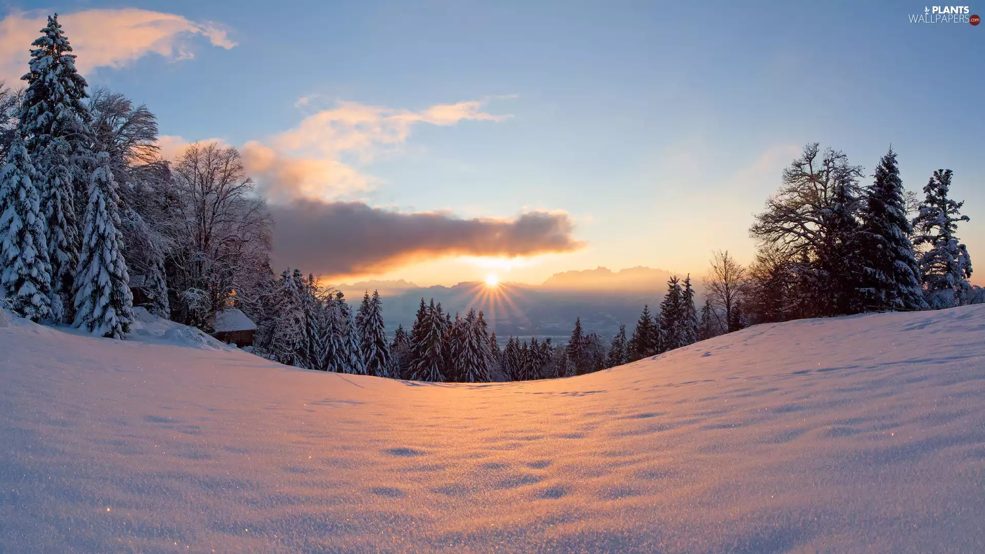 wooden, winter, trees, viewes, Home, Great Sunsets
