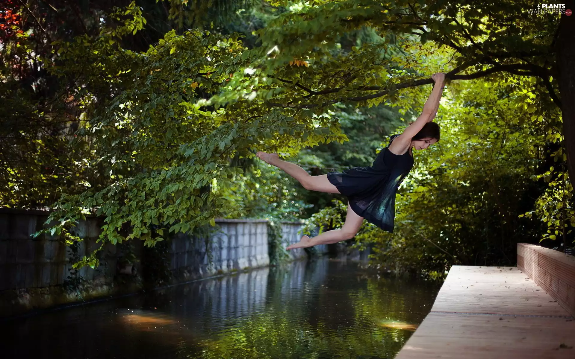 trees, River, Women, viewes