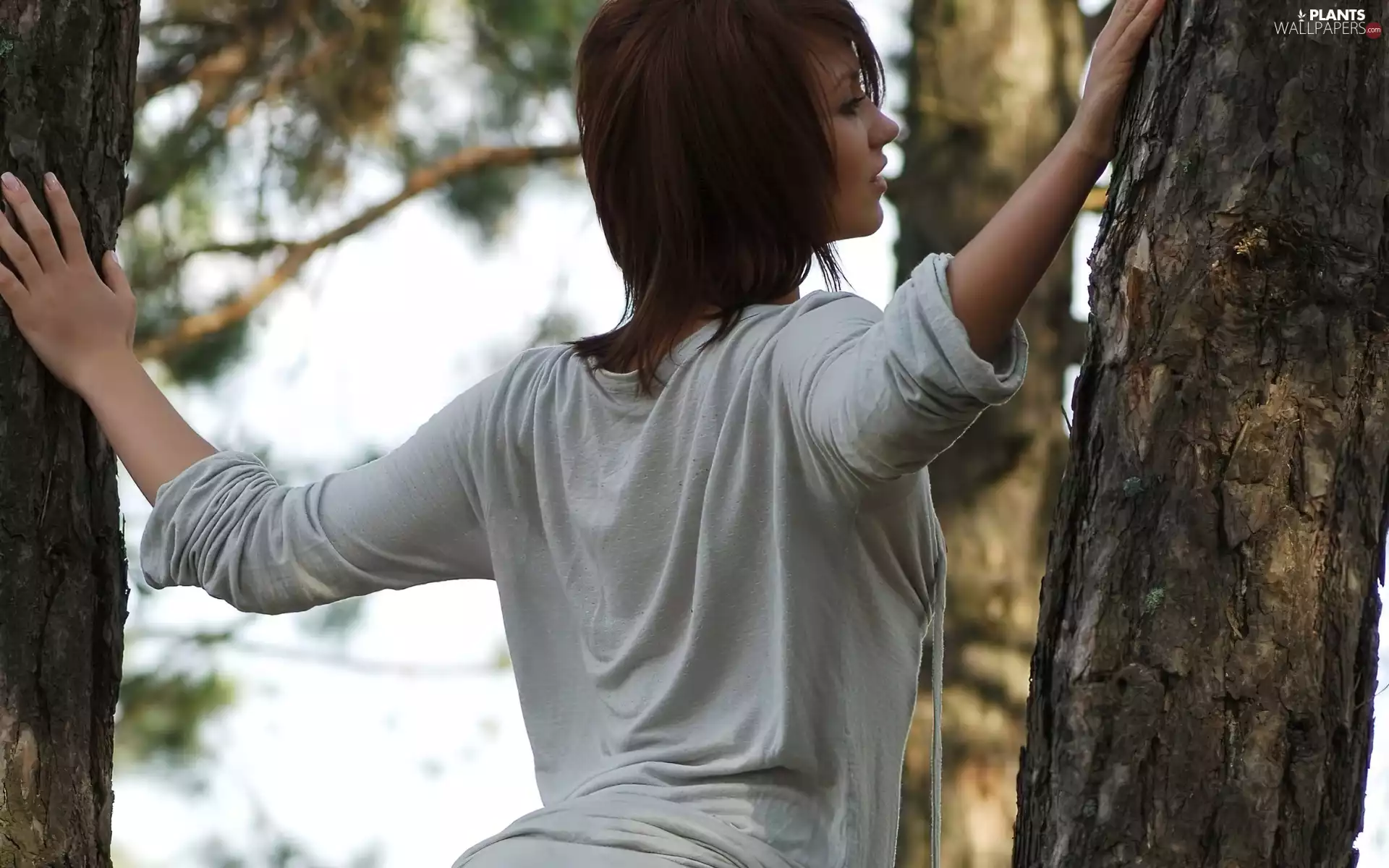 viewes, Women, trees