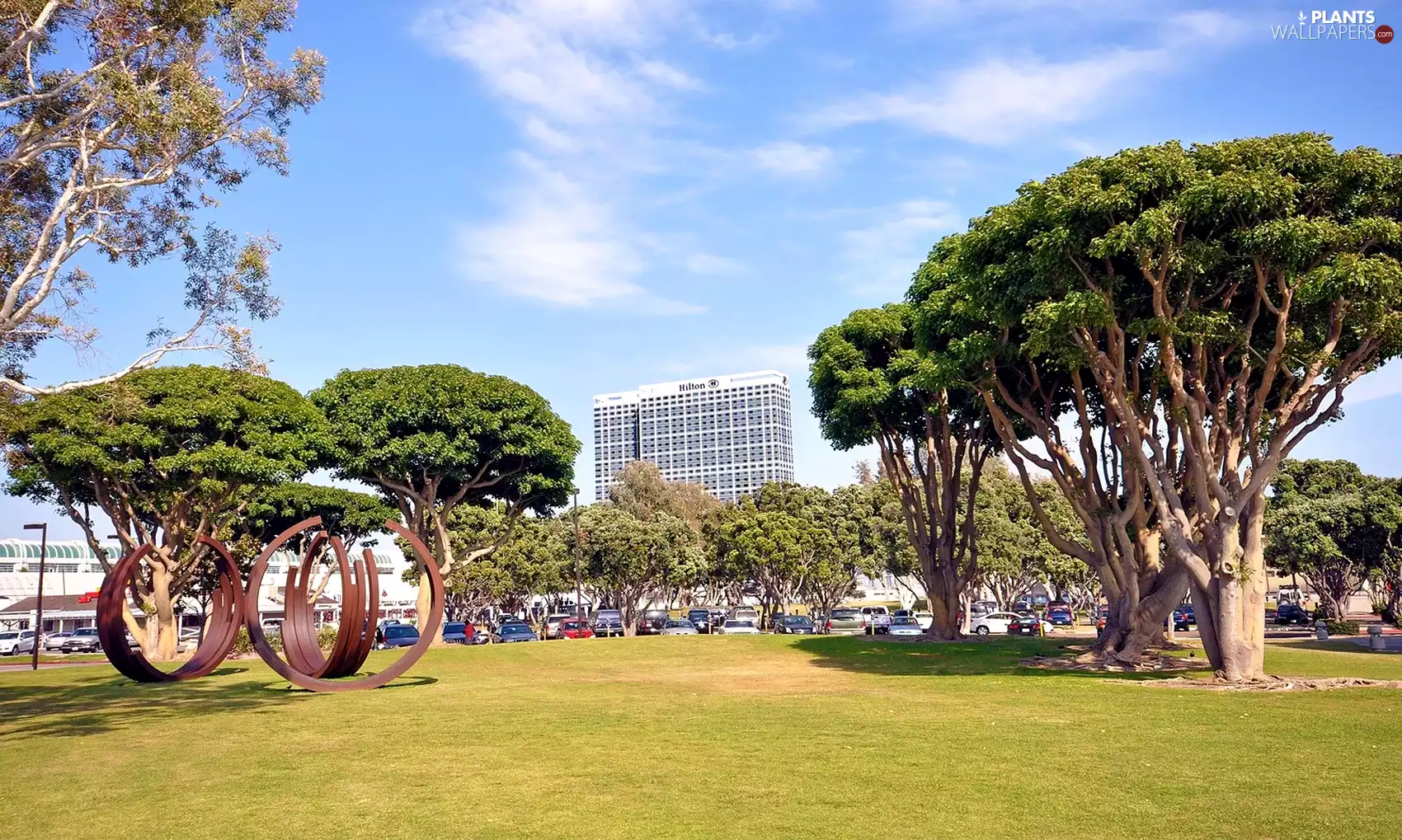 trees, viewes, urban, buildings, Park